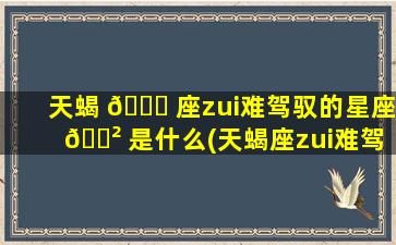 天蝎 🐒 座zui
难驾驭的星座 🌲 是什么(天蝎座zui
难驾驭的是哪个星座)